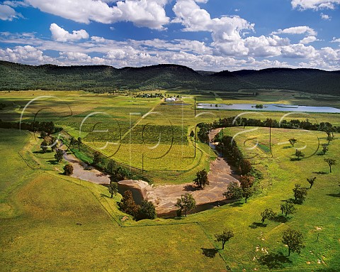 Vineyards by the Goulburn River   Upper Hunter Valley New South Wales  Australia