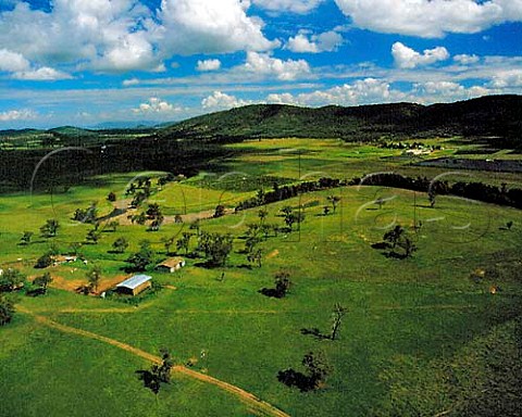 Wyndhams Hollydene Estate on the Goulburn River   Upper Hunter Valley New South Wales  Australia