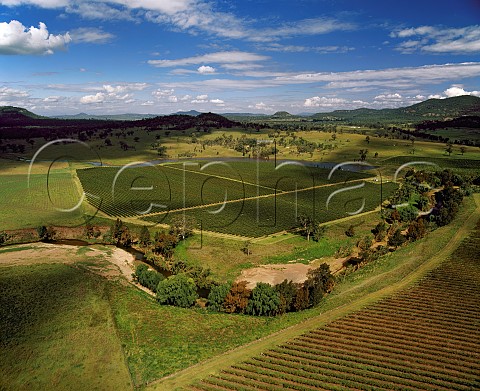 Vineyards astride the Wybong Creek in the Upper  Hunter Valley New South Wales Australia