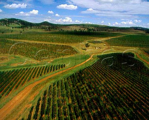 The 150hectare Roxburgh Vineyard of Rosemount   Estate Denman New South Wales Australia  Upper Hunter Valley