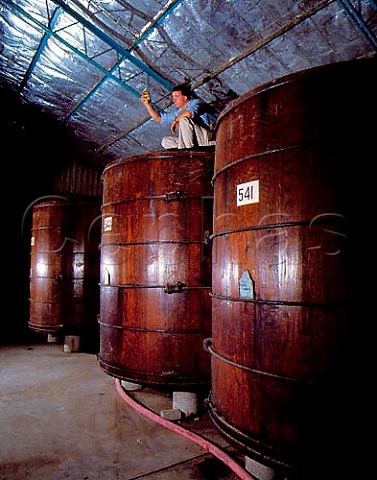 Winemaker examining a sample of brandy taken from   vat   BRL Hardy Renmark South Australia