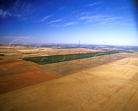 Single vineyard of 1200 acres owned by Angoves   near Renmark SA