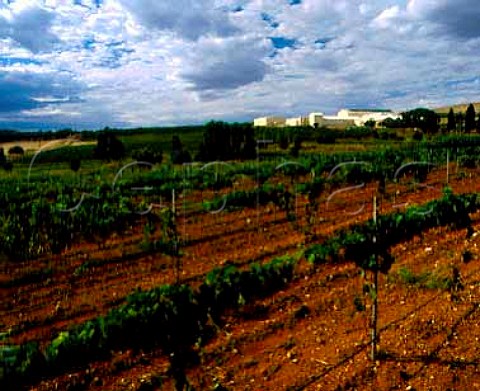 Annies Lane vineyard and winery Watervale   South Australia    Clare Valley