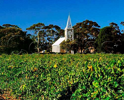 Hill of Grace vineyard owned by Henschke where the   Shiraz vines are over 100years old with Gnadenberg   church beyond   Keyneton South Australia  Eden Valley