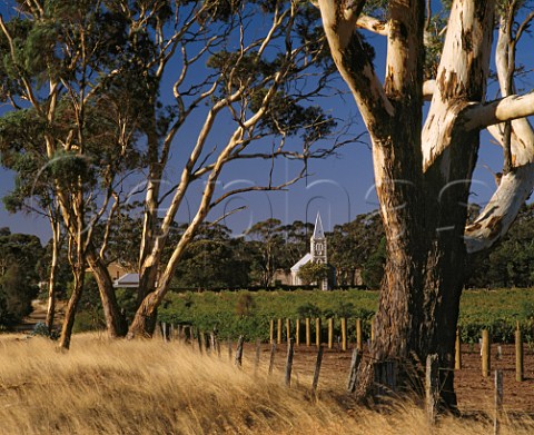 Hill of Grace vineyard owned by Henschke where the Shiraz vines are over 100years old Gnadenberg Lutheran church is in the background  Keyneton South Australia  Eden Valley