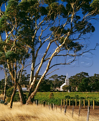 Hill of Grace vineyard of Henschke and Gnadenberg Church Keyneton South Australia  Eden Valley