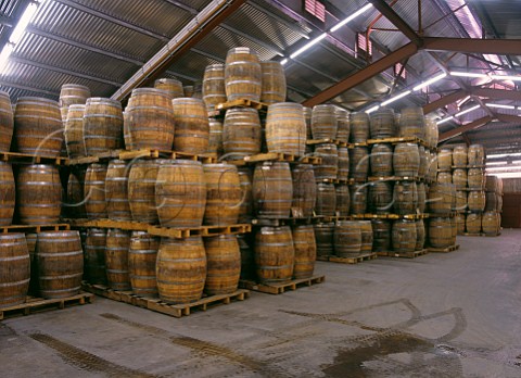 Barrel room of Yalumba Winery Angaston South Australia  Barossa Valley