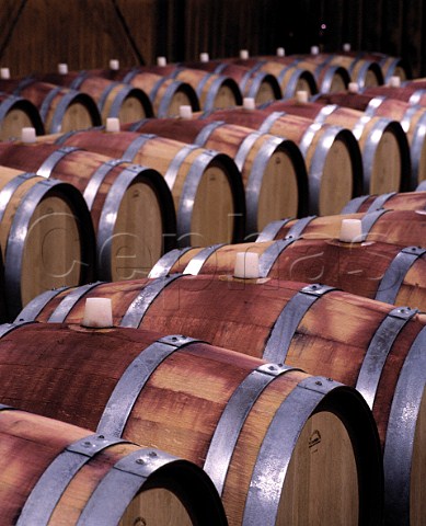 Red wine fermenting in new oak barrels in cellars of Wolf Blass Nuriootpa South Australia Barossa Valley