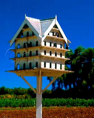The dovecot at BRL Hardys Chateau Reynella McLaren   Vale South Australia