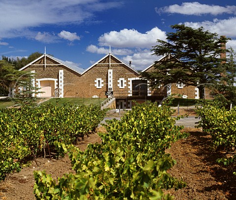The historic Wynns Winery and Pedro Ximenez vineyard which was planted in 1917 Coonawarra South Australia