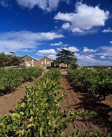 Wynns Winery viewed over Pedro Ximenez vineyard    planted in 1917   Coonawarra South Australia