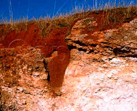 Cephas Picture Library Asset Details 1002402 Soil Profile Showing Terra Rossa Soil Cl