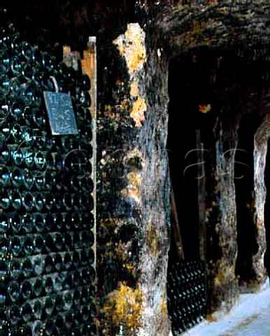 Salinger sparkling wine maturing in the underground   cellars of Seppelts Winery Great Western Victoria   Australia