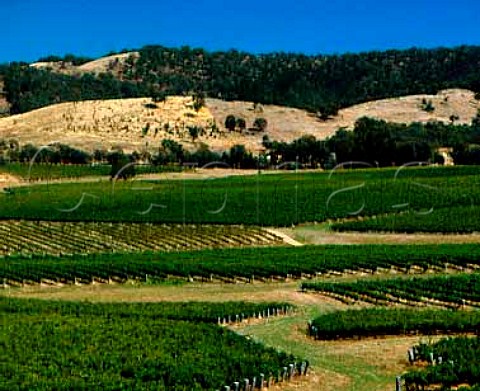 Taltarni Vineyards in the hills of the   Great Dividing Range at Moonambel   Victoria Australia   Pyrenees