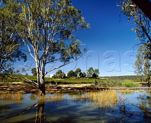 Brwon Brothers St Leonards Winery on the Murray River at Wahgunyah Victoria Australia   Rutherglen