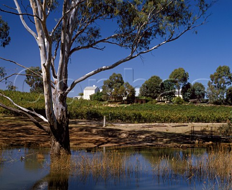 Brown Brothers St Leonards winery and vineyard on the Murray River at Wahgunyah Victoria Australia   Rutherglen