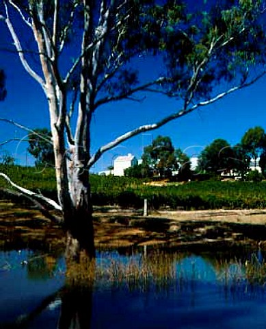 St Leonards Winery on the Murray River at   Wahgunyah Victoria Australia   Rutherglen
