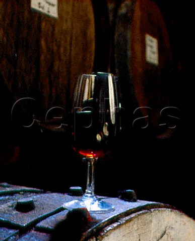 Glass of Rutherglen Liqueur Muscat in barrel room of   Campbells Rutherglen Victoria Australia