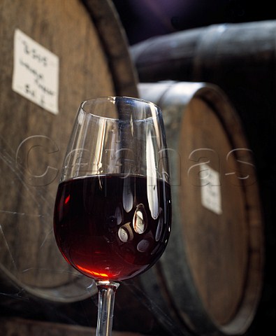 Glass of Rutherglen Liqueur Muscat in barrel room of   Campbells Wines Rutherglen Victoria Australia
