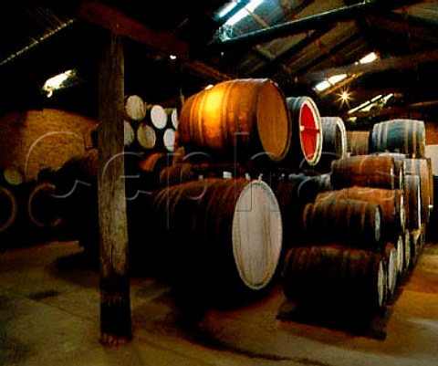 Barrels of Liqueur Muscat Tokay etc  Campbells winery Rutherglen Victoria Australia