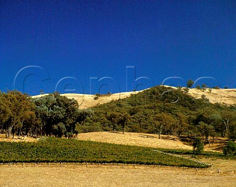 Avalon Vineyards near Whitfield northeast   Victoria Australia  King Valley