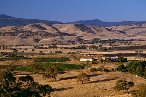 Delatite Vineyards and Winery at an altitude of around 1500 feet on the northern slopes of the Great Dividing Range Mansfield Victoria Australia  Central Victorian High Country