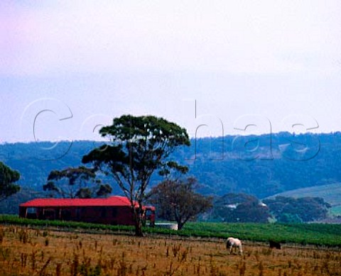 Anakie Vineyards Anakie Victoria Australia   Geelong