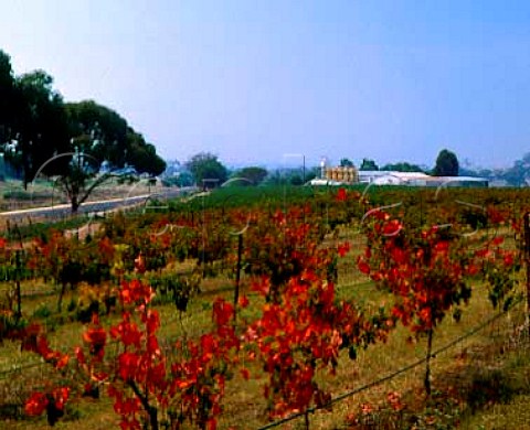 Anakie Vineyards Anakie Victoria Australia   Geelong