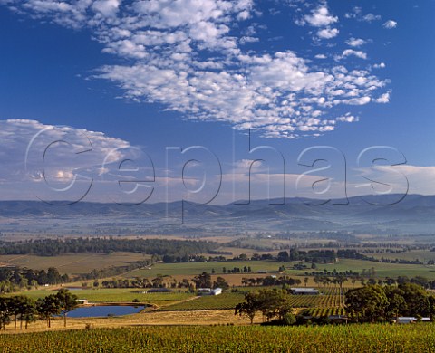 View from Coldstream Hills Vineyards to Yarra Yering Winery and vineyards Coldstream Victoria Australia Yarra Valley