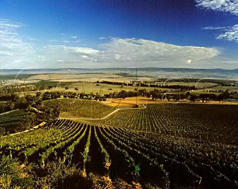 Coldstream Hills vineyards Coldstream Victoria   Australia    Yarra Valley