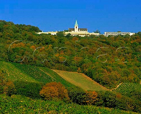 Kahlenberg above the vineyards of Grinzing in the   northern suburbs of Vienna Austria