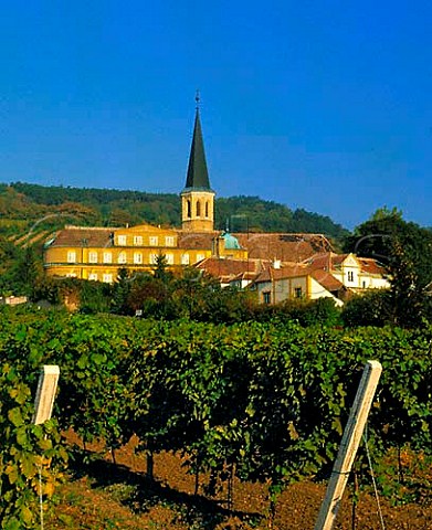 Vineyards at Gumpoldskirchen south of Vienna  The   building houses the Deutsch Ordens Schloss Weingut  Austria  Thermenregion