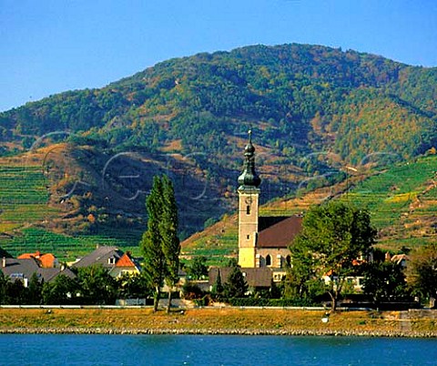 View across the Danube river to the church at   Unterloiben with vineyards on the hill behind   Niedersterreich Austria   Wachau