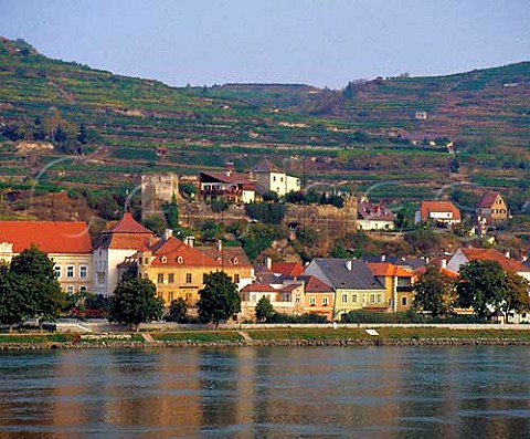 Terraced vineyards above the Danube River and town   of Krems Austria    Kremstal