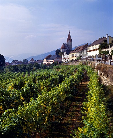 Wine village of Weissenkirchen in the Danube valley  Austria   Wachau