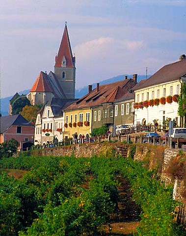 Wine village of Weissenkirchen in the Danube valley   Niedersterreich Austria  Wachau
