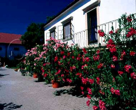 Courtyard of Weingut FeilerArtinger Rust   Burgenland Austria NeusiedlerseeHugelland