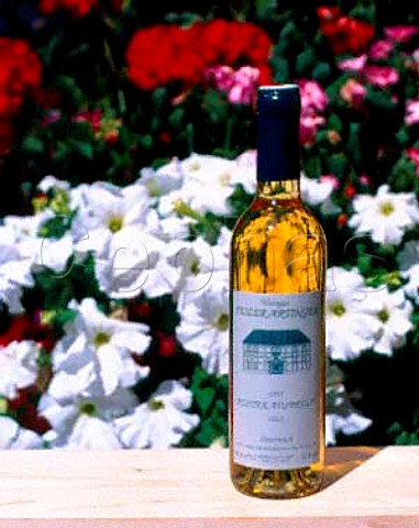 Bottle of 1993 Ruster Ausbruch of Weingut   FeilerArtinger Rust Burgenland Austria   NeusiedlerseeHugelland