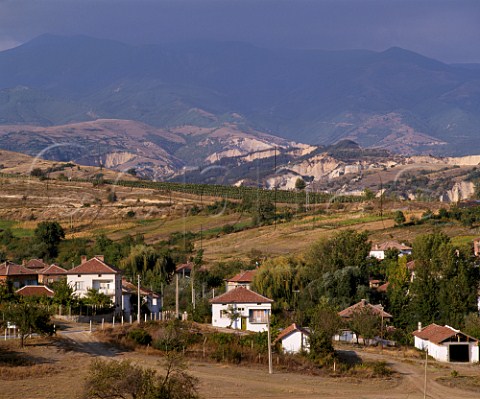 Vineyards with the sandstone cliffs of Melnik and   the Pirin Mountains beyond  Bulgaria  Struma Valley
