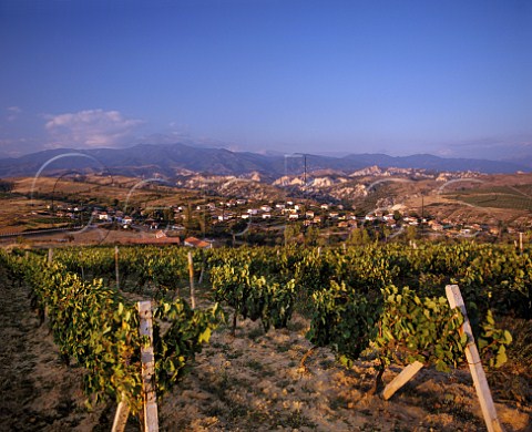 Vineyards near Melnik with the its sandstone cliffs and Pirin Mountains in the distance Bulgaria  Struma Valley