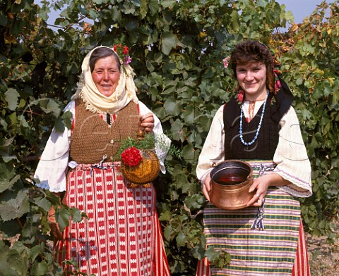 Women in traditional dress in Chardonnay vineyard  The copper vessel and flask both containing wine are traditional drinking vessels  Blatetz near Sliven  Bulgaria   Thracian Lowlands