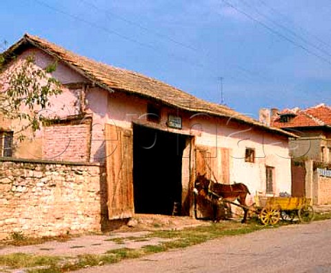 Donkey and cart outside workshop in the wine town of   Suhindol Bulgaria       Northern Region