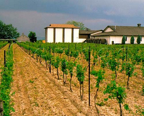 Inniskillin Winery and vineyard   NiagaraontheLake Ontario Canada  Niagara Peninsula
