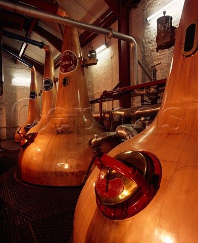 Copper Pot Still in the stillhouse of the   Old Bushmills Distillery Bushmills Co Antrim   Northern Ireland