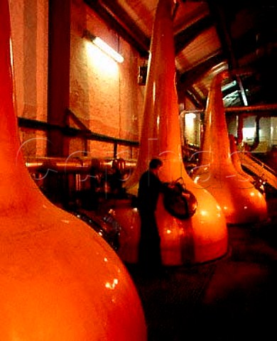 Copper Pot Stills in the stillhouse of the Old   Bushmills Distillery Bushmills CoAntrim Northern   Ireland