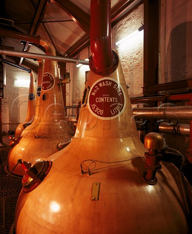 Copper Pot Stills in the stillhouse of the Old Bushmills Distillery Bushmills   Co Antrim Northern Ireland