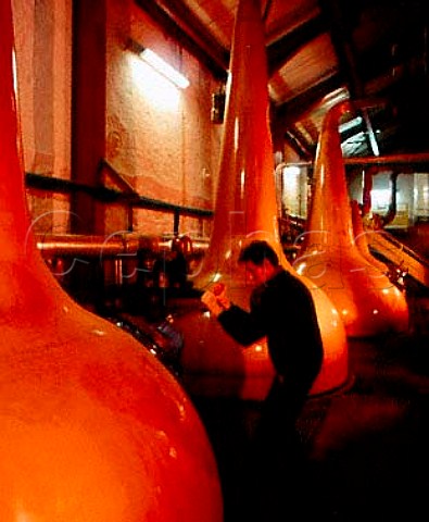 Copper Pot Stills in the stillhouse of the Old   Bushmills Distillery Bushmills CoAntrim Northern   Ireland