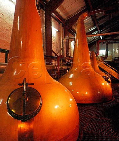 Copper Pot Stills in the stillhouse of the Old  Bushmills Distillery Bushmills Co Antrim Northern  Ireland