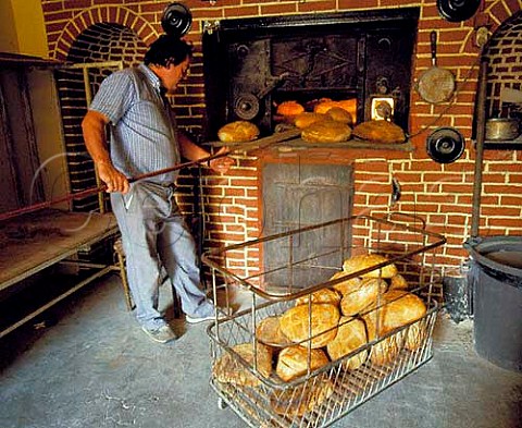 Baking bread in a woodfired oven La Roquette near Perigueux Dordogne France