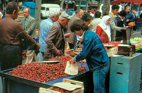 Cherry stall in Toulouse market  HauteGaronne France   MidiPyrenes
